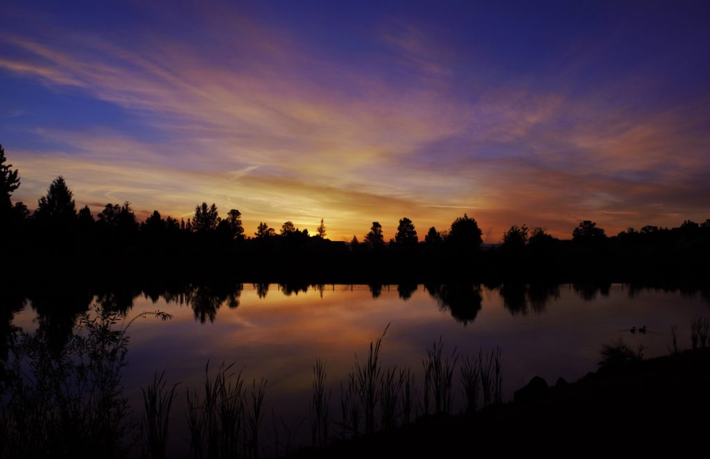 Monsters at Dusk