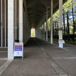 Albany Book Festival Sign