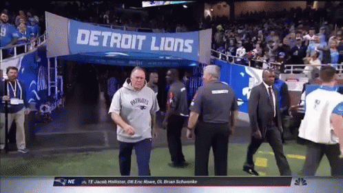 bill belichick