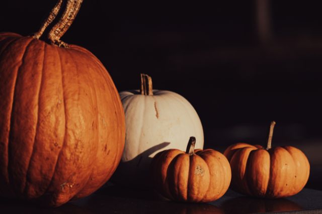 A cluster of Halloween Pumpkins.